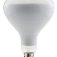 Filament Led R125 - DAYLIGHT 700396.0NA