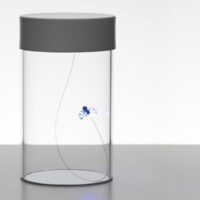 Profumo D'estate Led Lampada Tavolo a batteria - DAVIDE GROPPI 170203