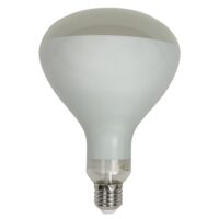 Filament Led R125 - DAYLIGHT 700396.0NA